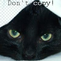 Don't copy!